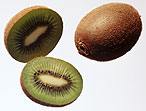 Fruit Kiwi